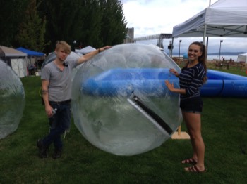  Zorb Balls at an outdoor festival. 